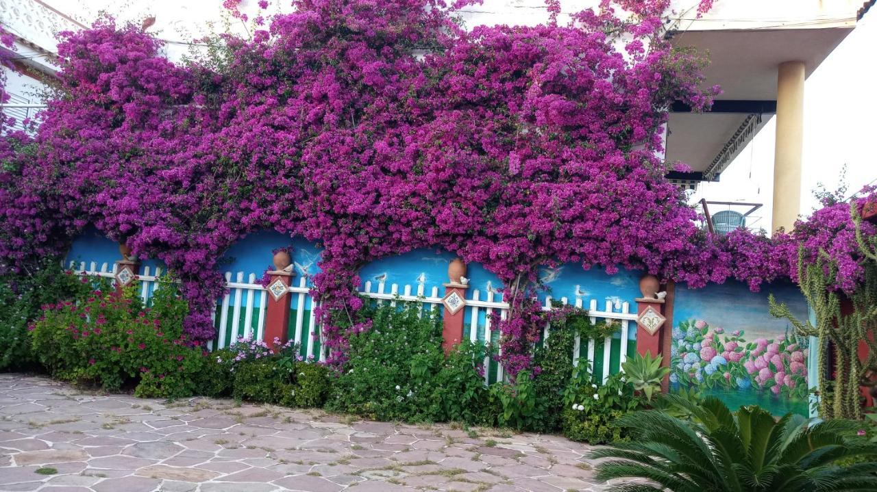 Villa Casa con jardín frente Playa de Burriana Exterior foto