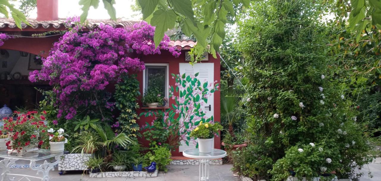 Villa Casa con jardín frente Playa de Burriana Exterior foto