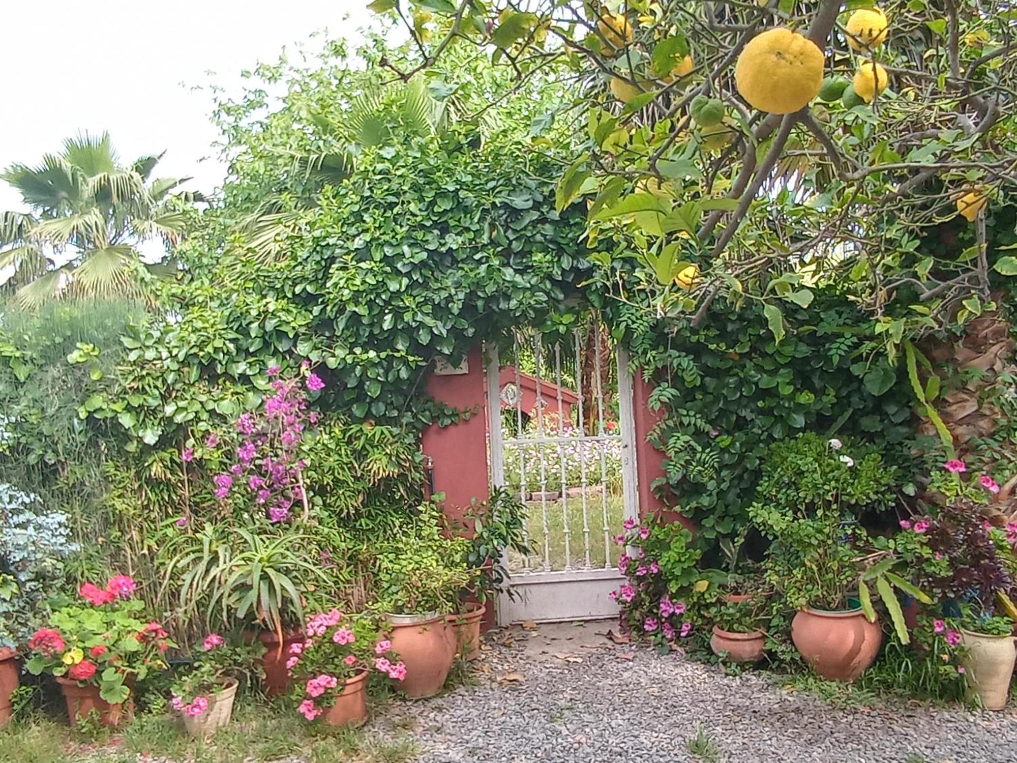 Villa Casa con jardín frente Playa de Burriana Habitación foto